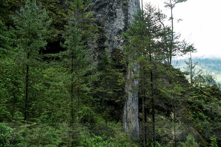 Sendero Ecológico La Maceta