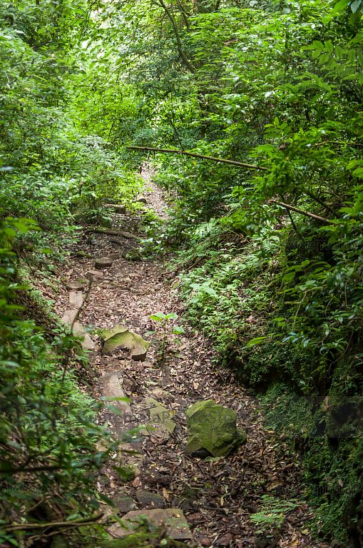 Caminamiento en el Sendero del Alto