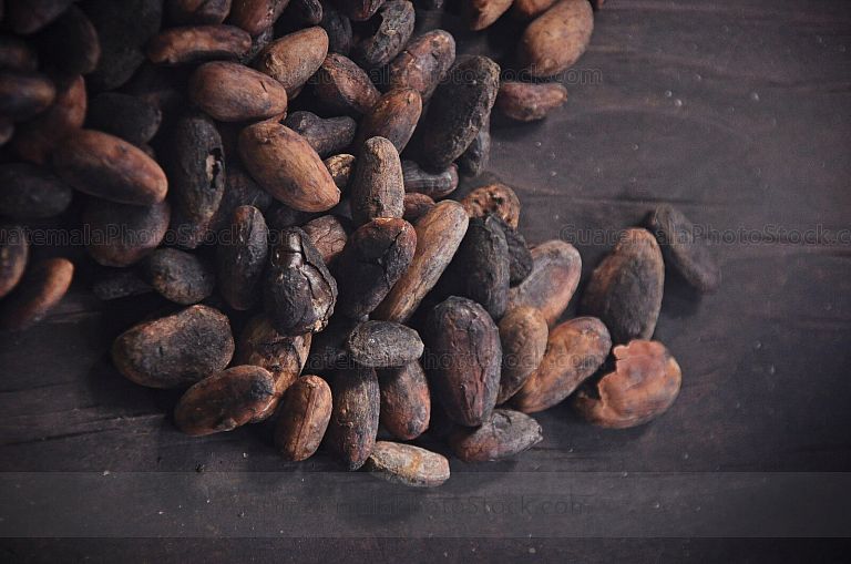 Granos de Cacao