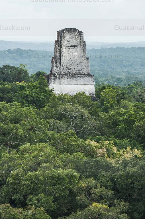 Tikal