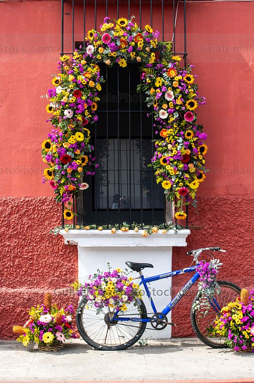 Decoración floral