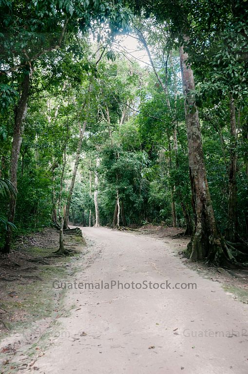 Sendero del Parque Nacional de Tikal