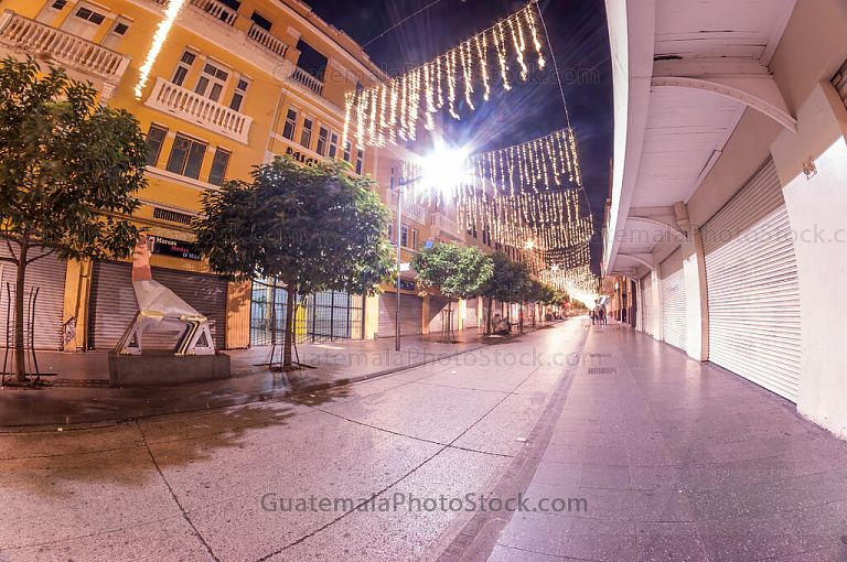 Sexta avenida en el festival navideño