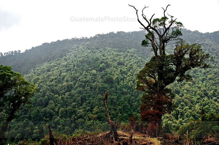 Sierra de Yalijux