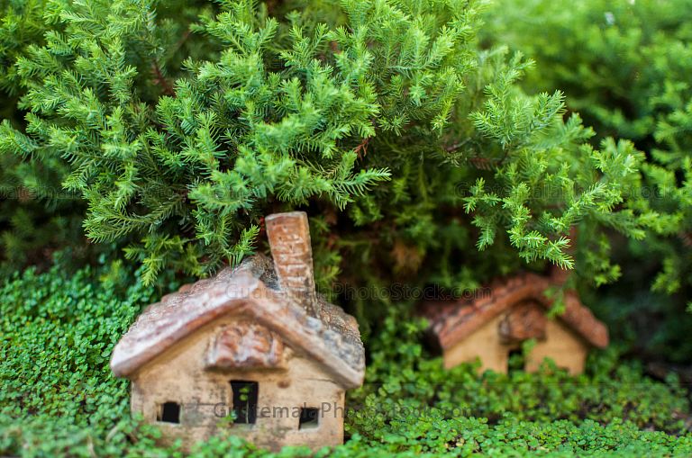 Decoración con Bonsai