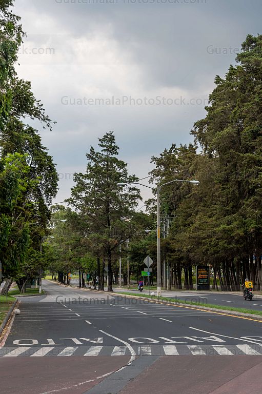 Bulevar Austriaco, Zona 16
