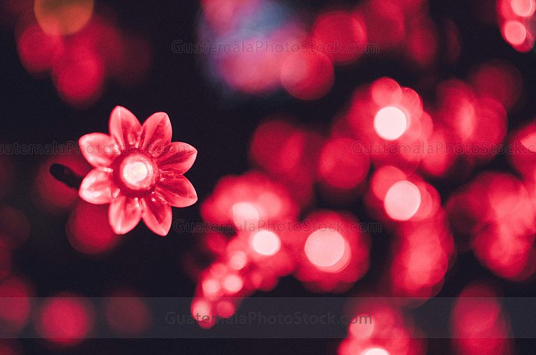 Luces de fin de año