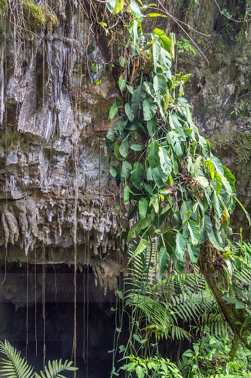 Cueva Goj Chen