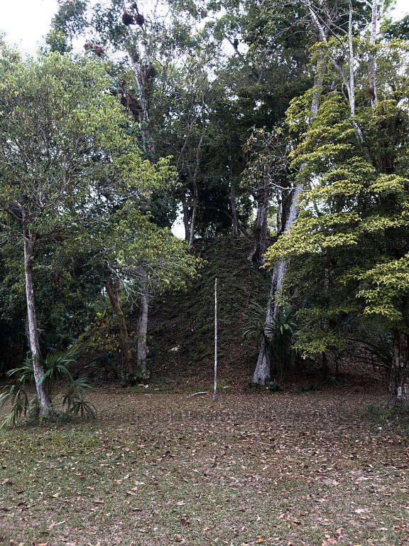 Naturaleza en Parque Nacional Tikal, Petén