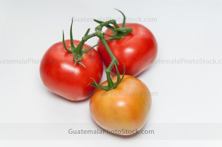 Tomate
