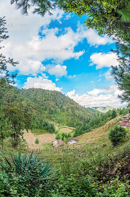Bosque totonicapense