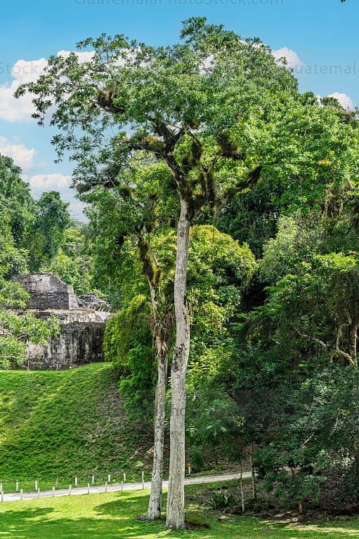 Parque Nacional Tikal