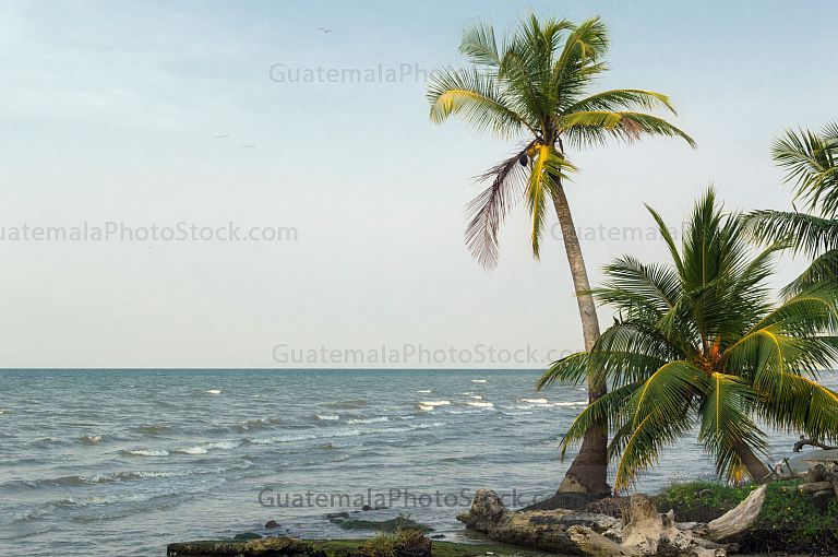 Playa Quehueche, Livingston, Izabal