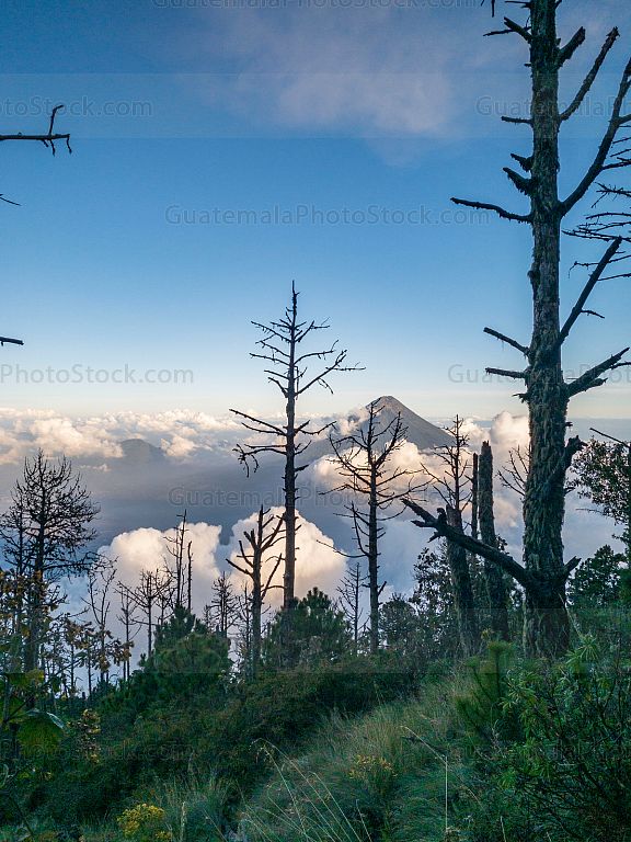 Atardecer Volcán de Agua