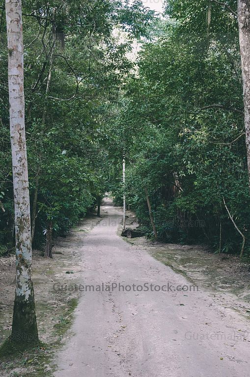 Sendero del Parque Nacional de Tikal