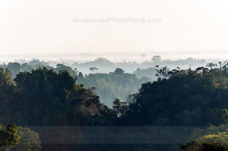 Amanecer sobre las tierras planas de Alta Verapaz y Petén