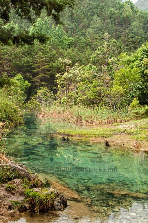 Río afluente de Laguna Brava