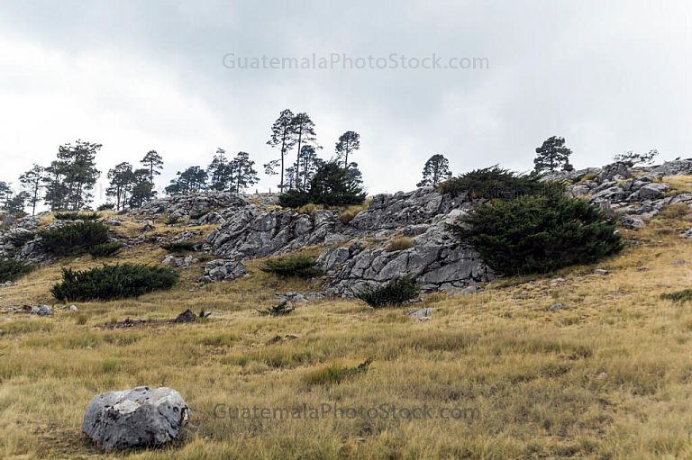 Parque Regional de Todos Santos Cuchumatán