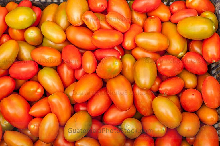Tomates