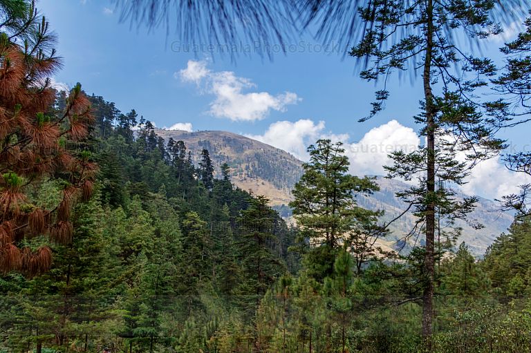 Sendero ecológico La Maceta