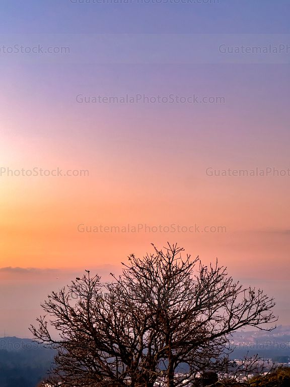 Atardecer
