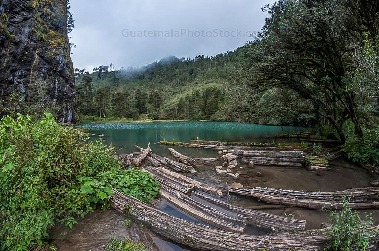 Laguna Magdalena