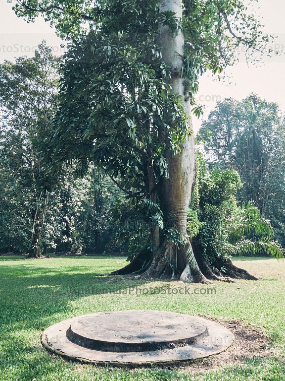 Altar maya en Quirigua