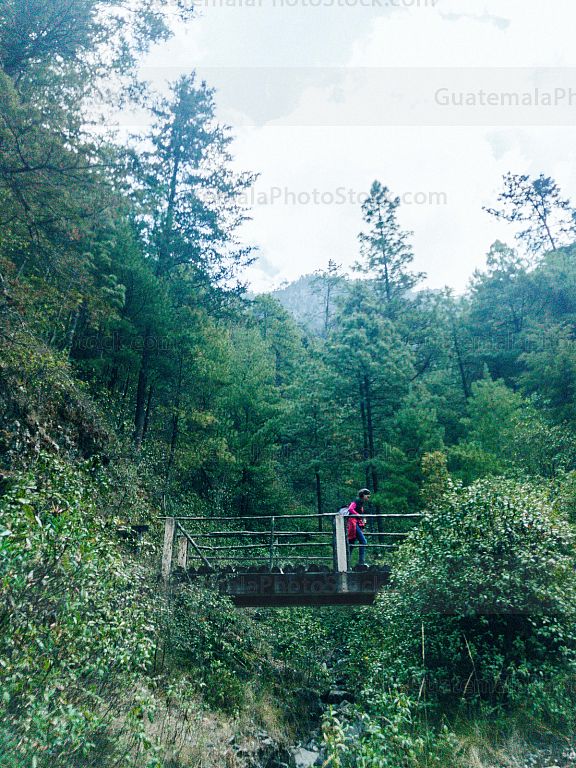 Sendero ecológico La Maceta