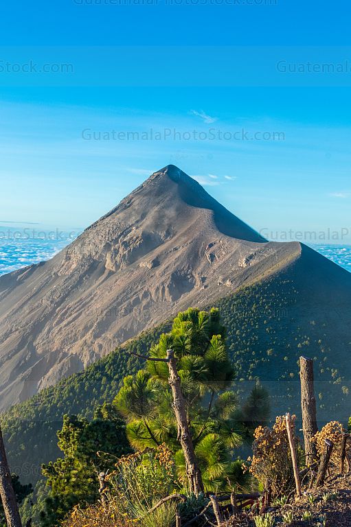 Volcán de Fuego