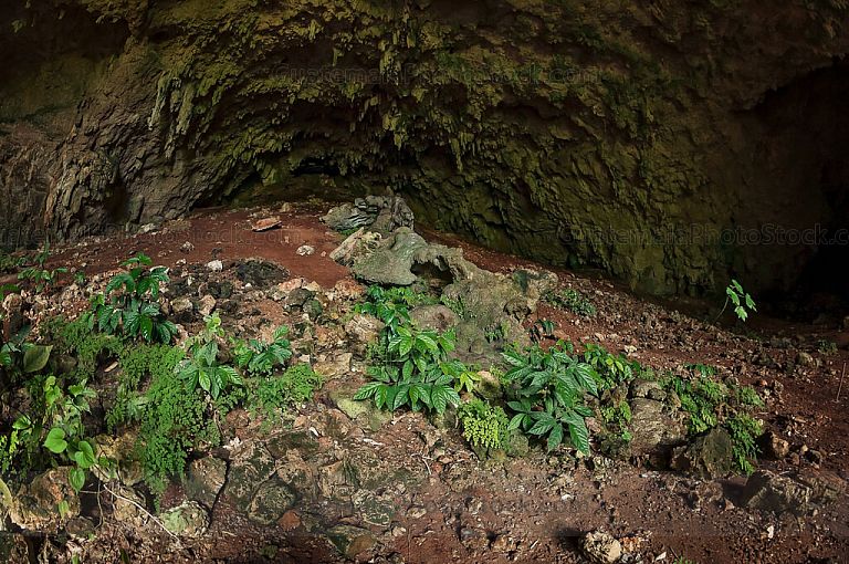 Ingreso a la cueva de la cobanerita
