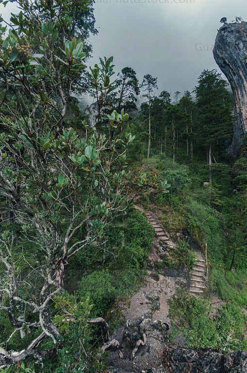 Sendero ecológico La Maceta