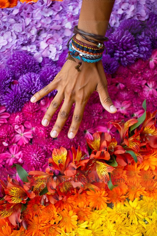 Elaboración de alfombra de flores