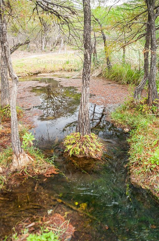 Nacimiento del Río Lagartero