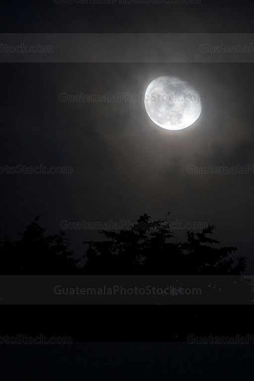 Luna