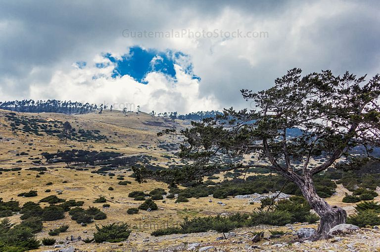 Paisaje de la cumbre de los Cuchumatanes