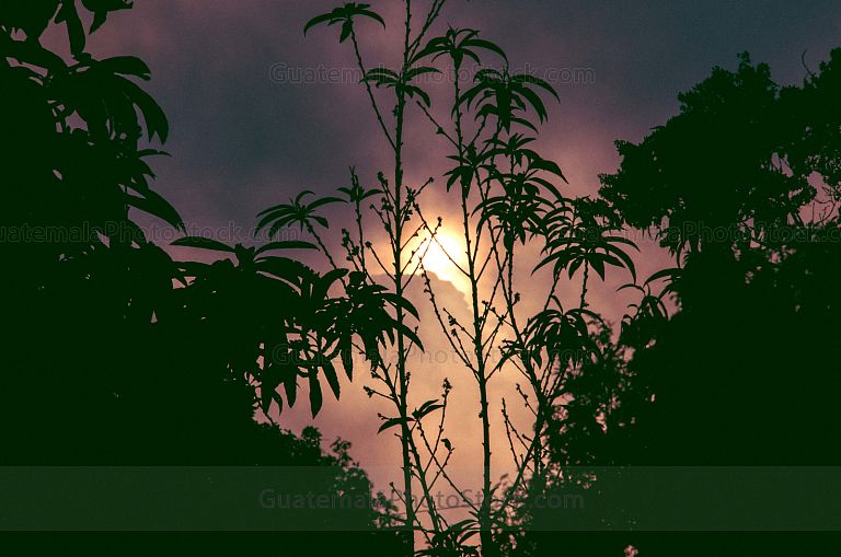 Atardecer en San Cristobal el Alto