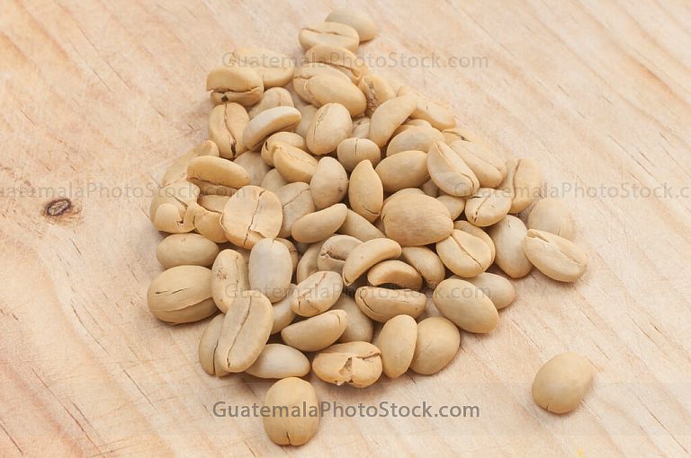 Granos de café pergamino