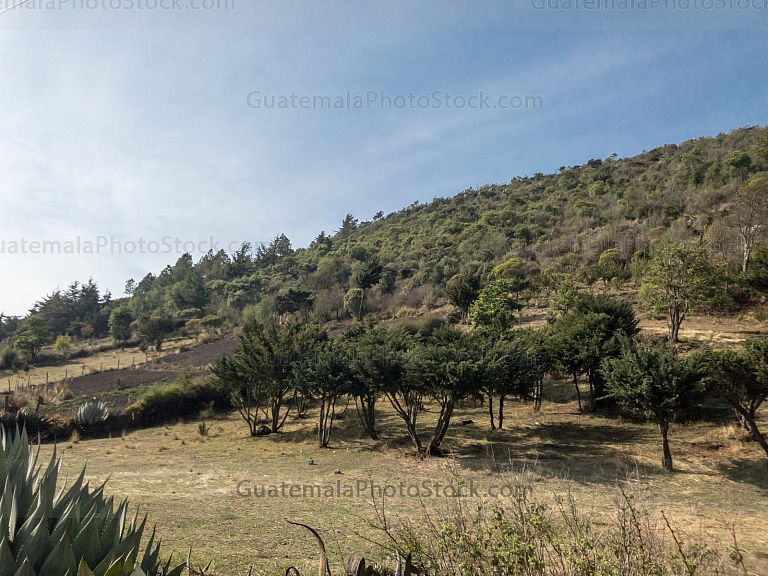 Paisaje de la cumbre de los Cuchumatanes