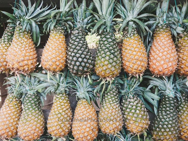 Piñas
