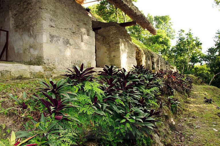 Estructura en Yaxhá