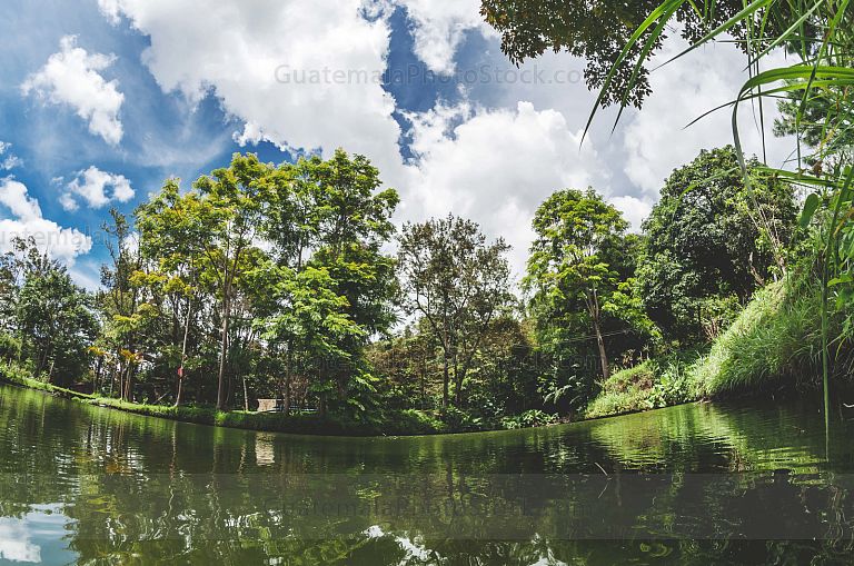 Estanque de pesca, Finca Xejuyú
