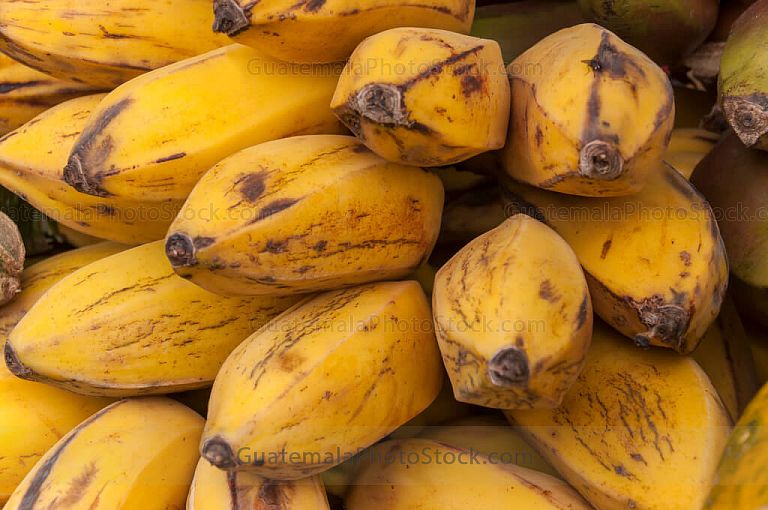 Bananos Majunches