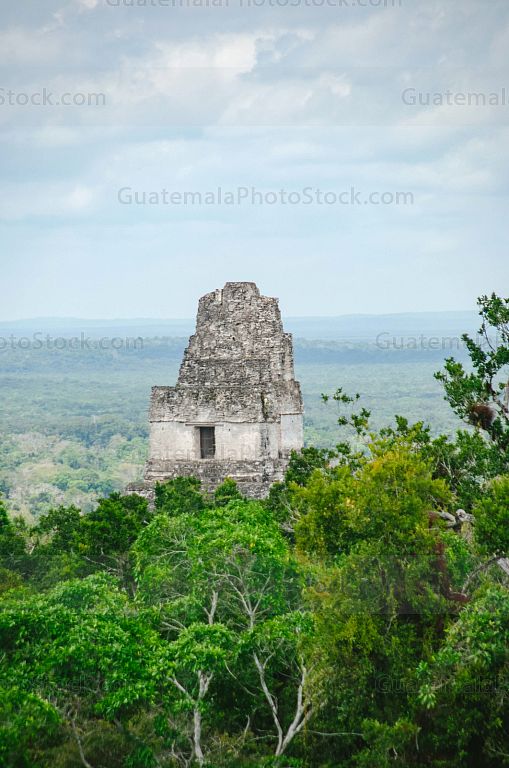 Templo I de Tikal, Gran Jaguar, Tikal