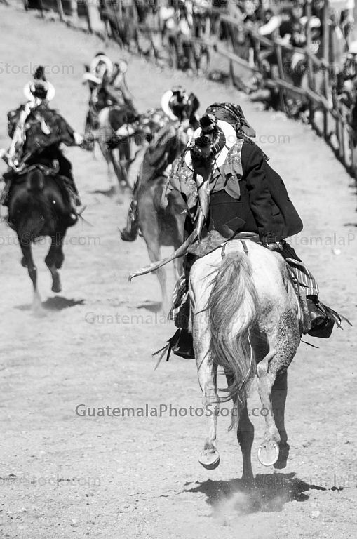 Carrera de caballos