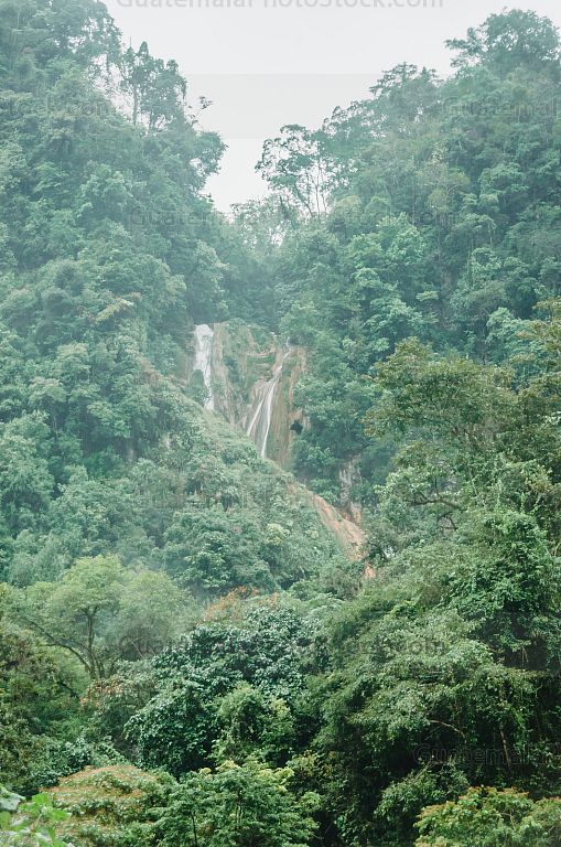 Bosque Nuboso Tropical Huehuetenango