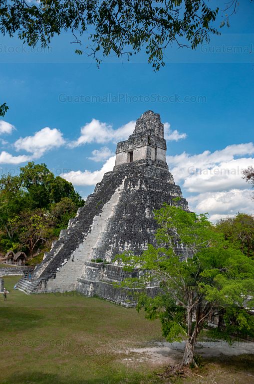 Templo I de Tikal, Gran Jaguar, Tikal