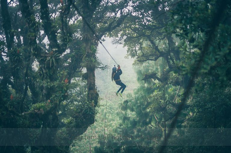 Canopy en Pino Dulce