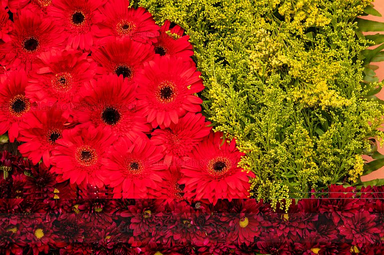 Detalle de arreglo floral