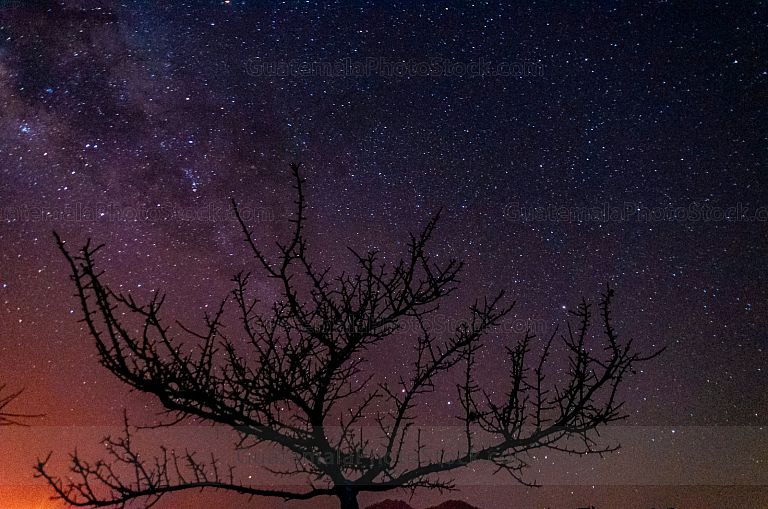Astrofotografía
