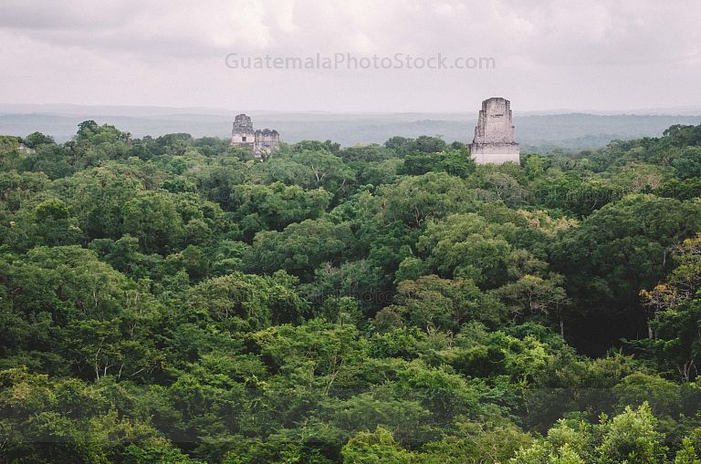 Tikal